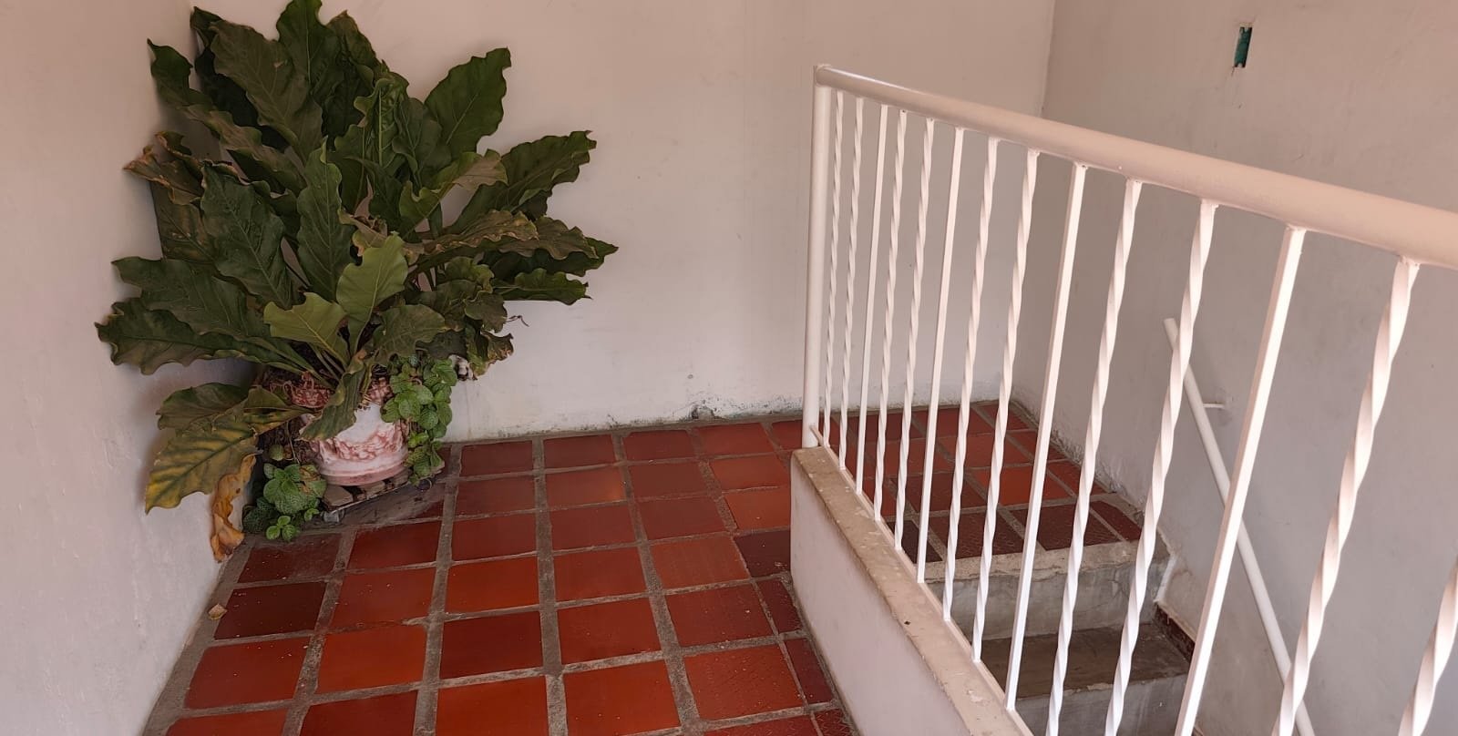 PROPIEDAD DE 600 M2, HOSTAL, LOCALES COMERCIALES Y CASA LOTE EN SANTA MARTA