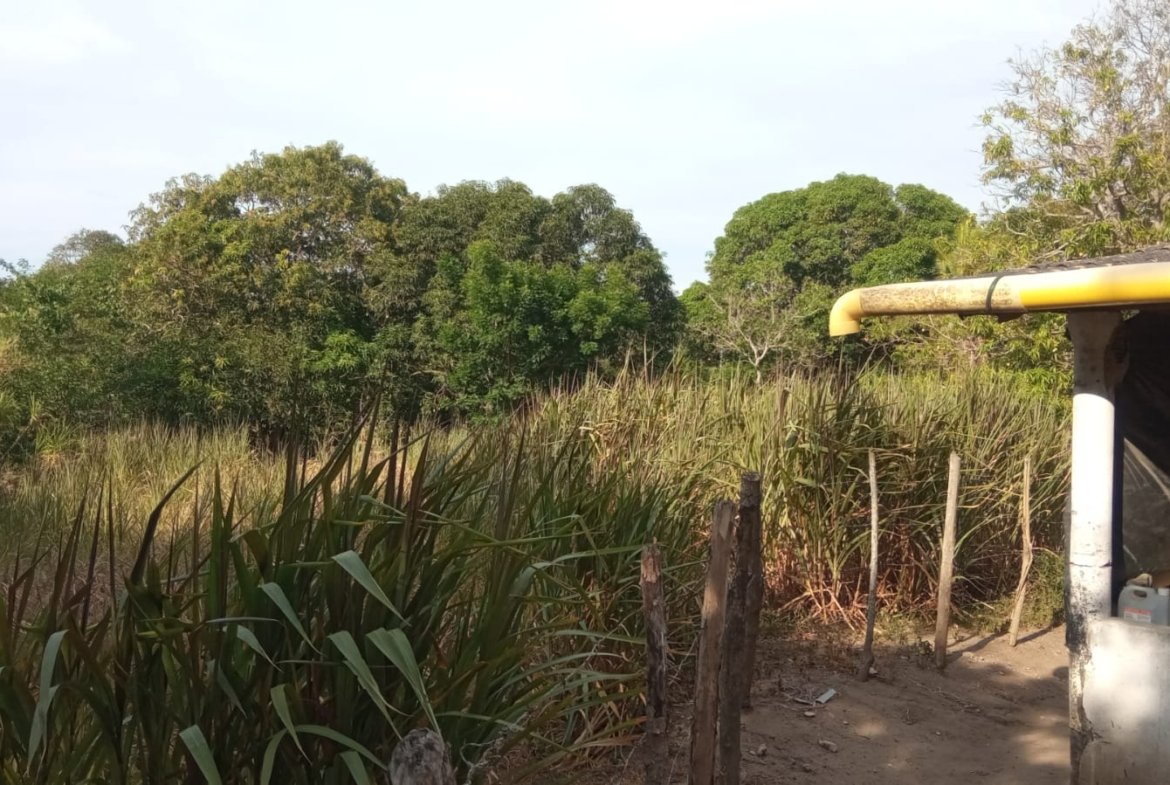 SE VENDE FINCA DE 30.000 M² EN BARANOA, ATLÁNTICO
