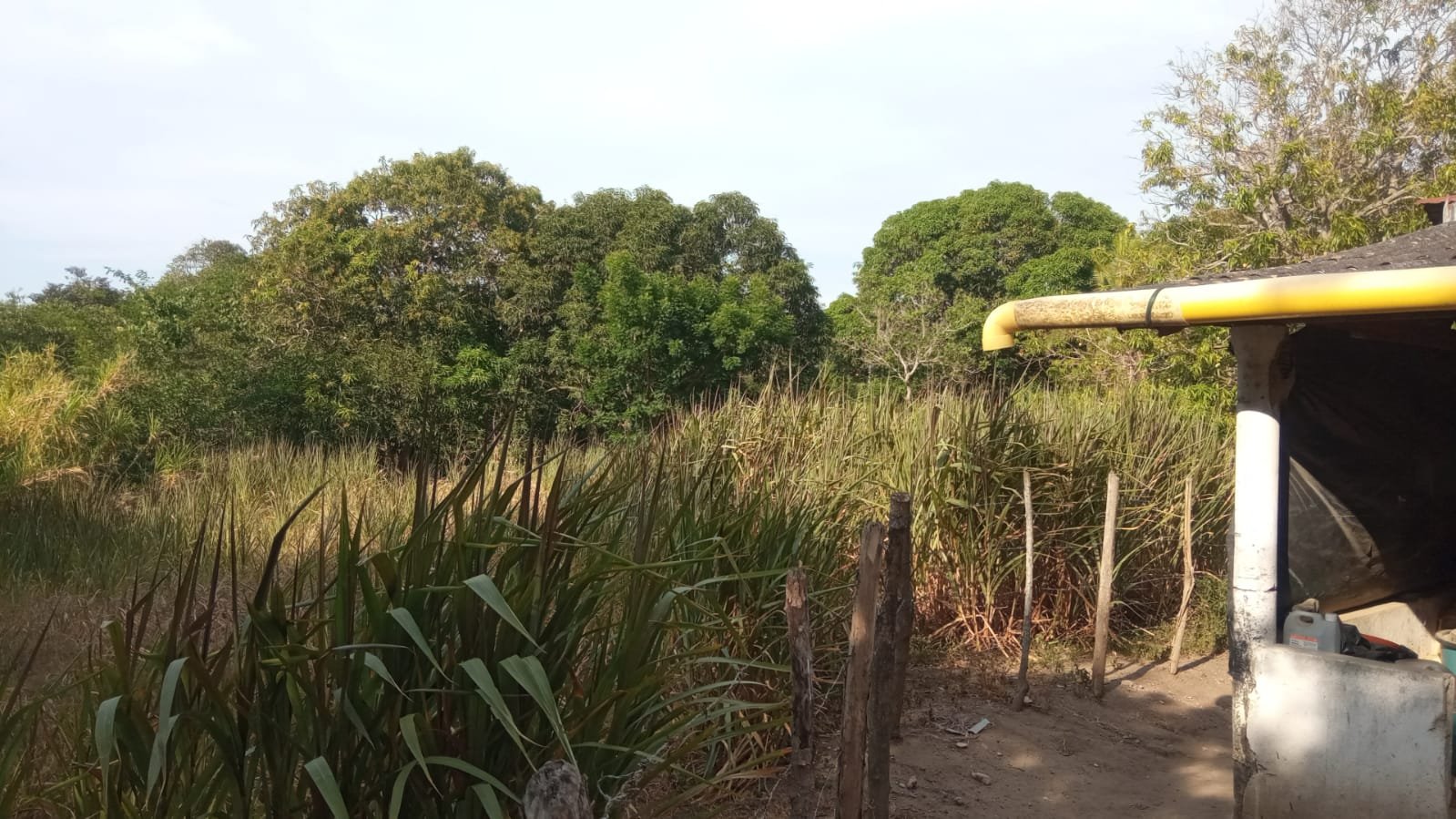 8dfe07b9-d124-447b-b73a-b7dca3be4e47 SE VENDE FINCA DE 30.000 M² EN BARANOA, ATLÁNTICO