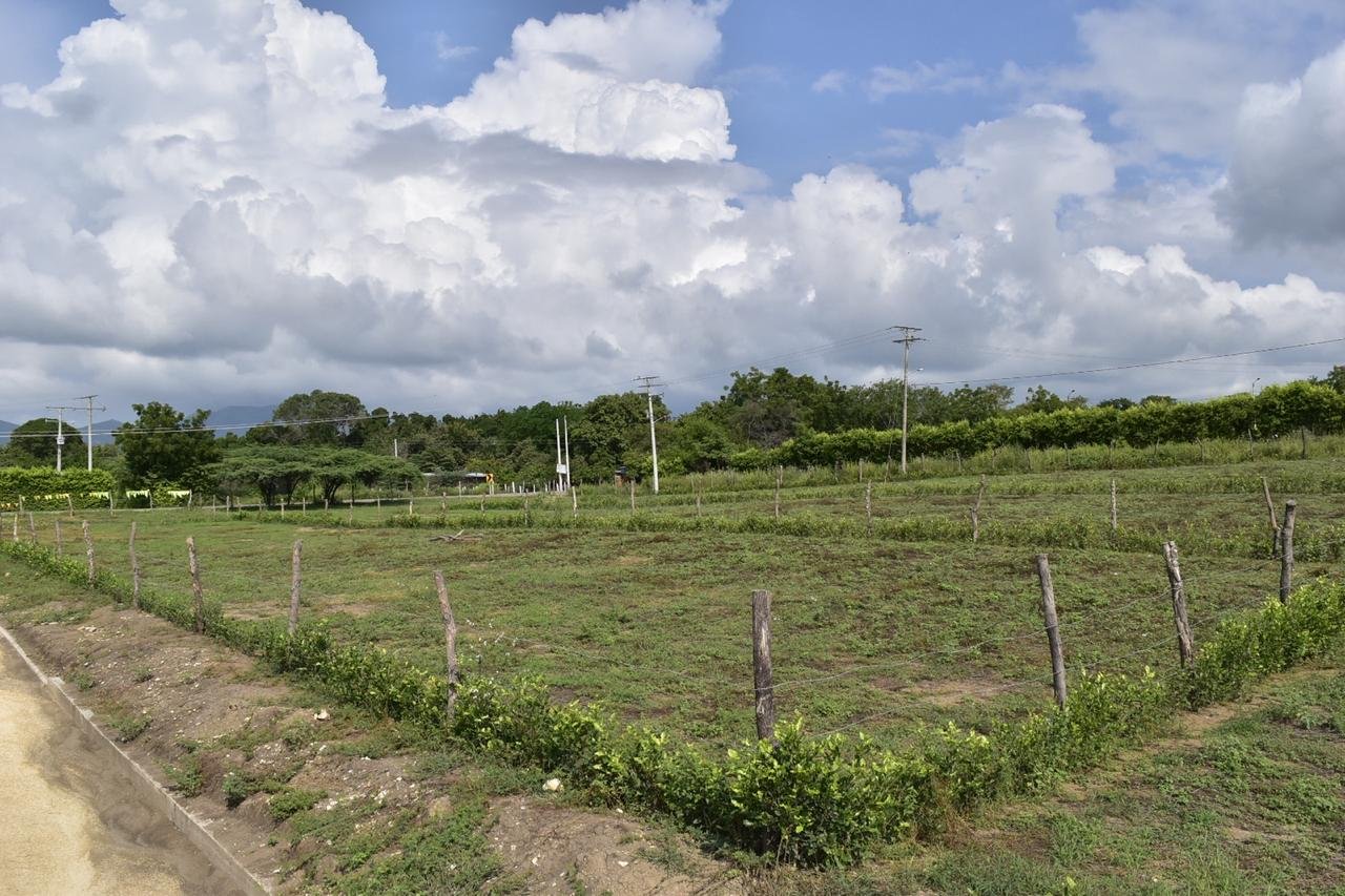 Lote en venta en Ricaurte Cundinamarca de 1.000 m²
