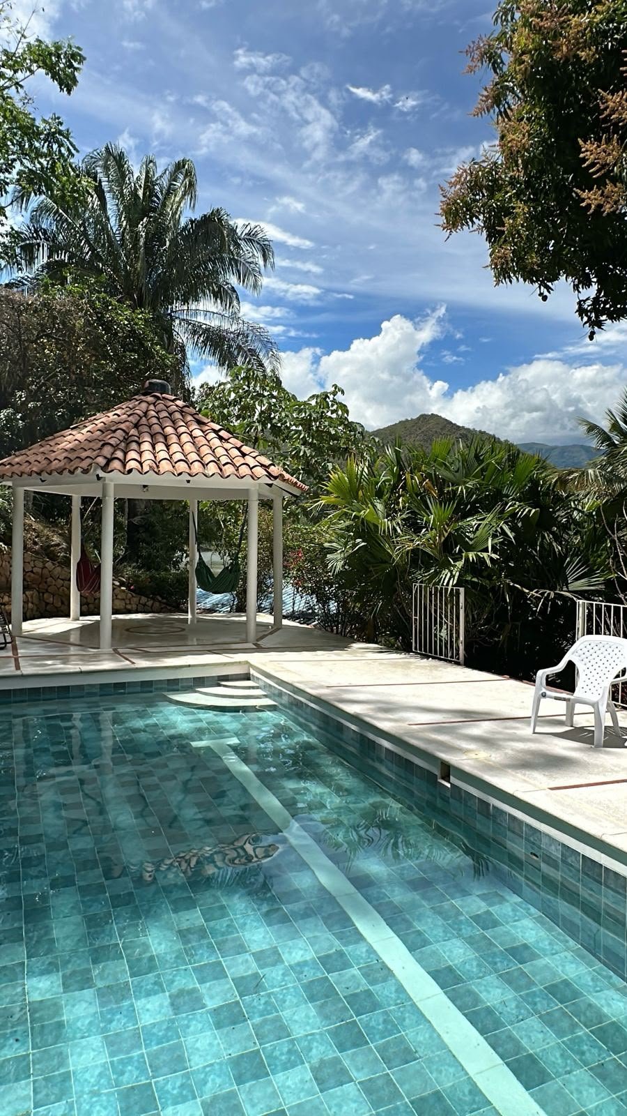 WhatsApp Image 2026-08-05 at 9.50.39 AM (2) Finca en venta, Represa Prado Tolima, Prado