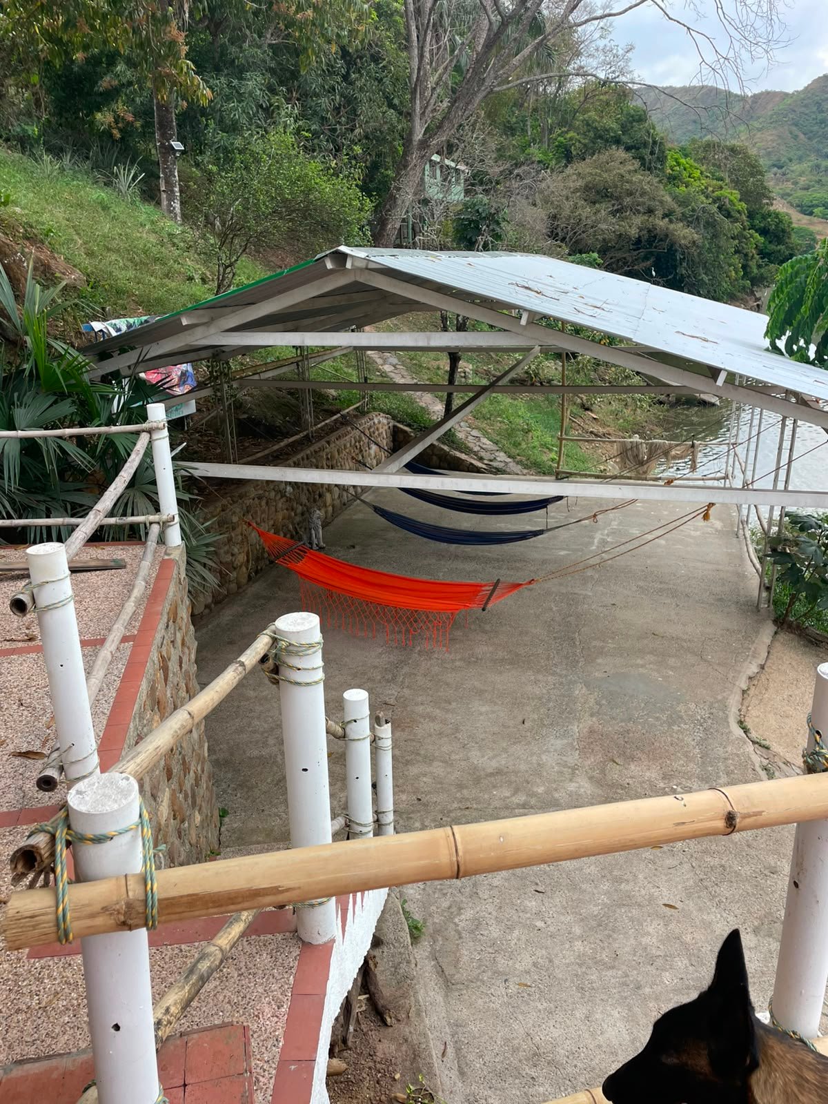 WhatsApp Image 2026-08-05 at 9.50.40 AM Finca en venta, Represa Prado Tolima, Prado