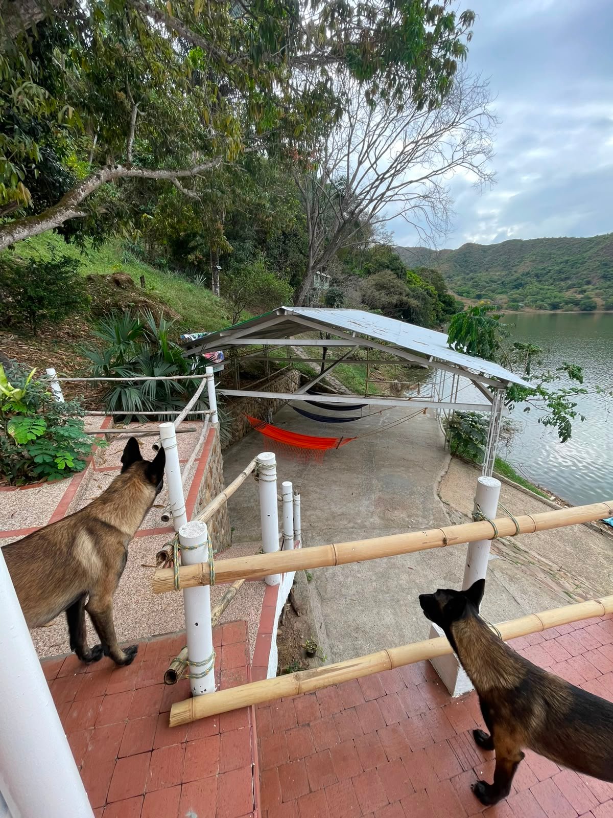 WhatsApp Image 2026-08-05 at 9.50.41 AM (3) Finca en venta, Represa Prado Tolima, Prado