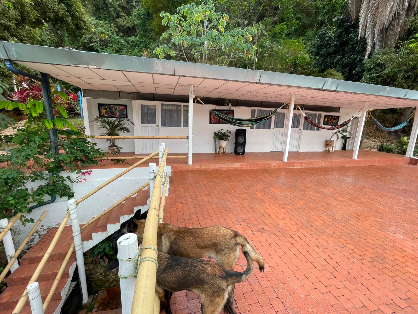 WhatsApp Image 2026-08-05 at 9.50.42 AM (1) Finca en venta, Represa Prado Tolima, Prado