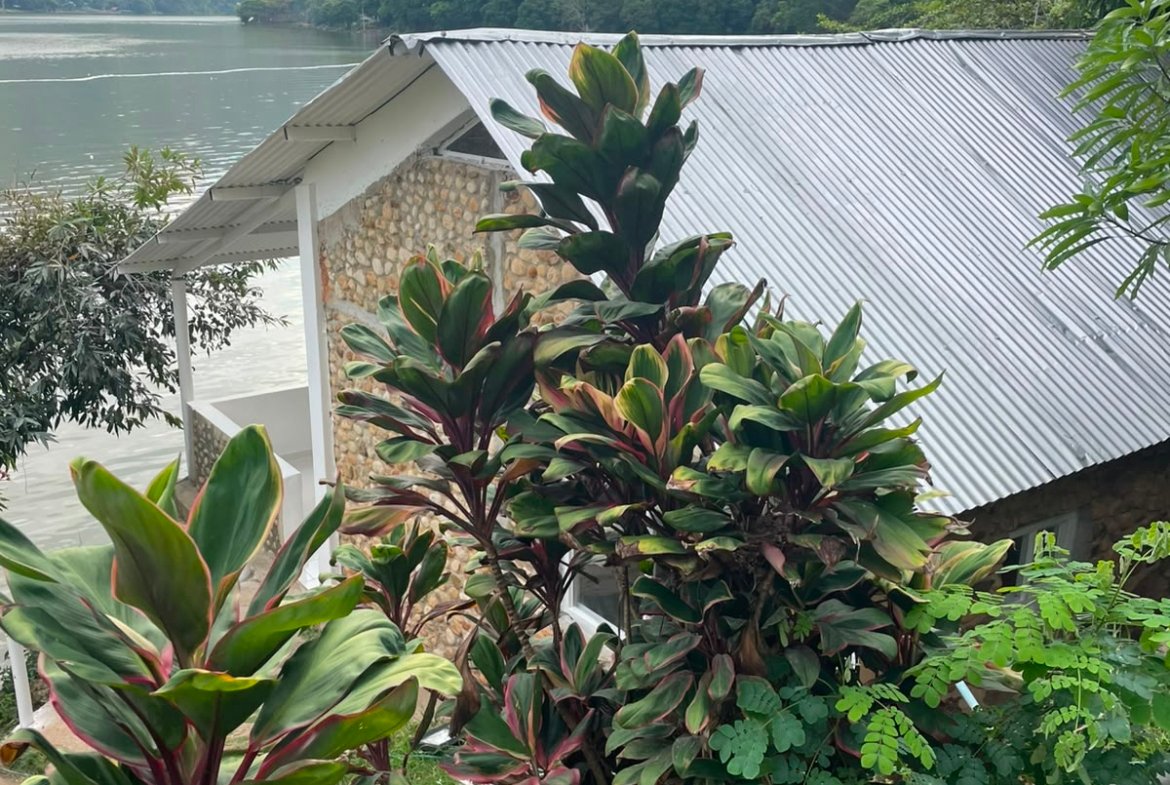 Finca en venta, Represa Prado Tolima, Prado
