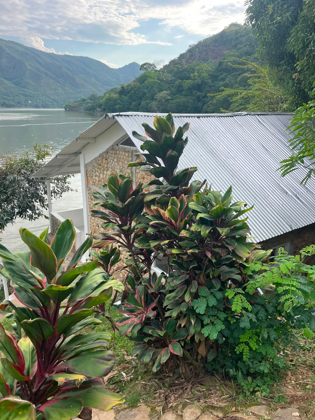 WhatsApp Image 2026-08-05 at 9.50.42 AM (2) Finca en venta, Represa Prado Tolima, Prado