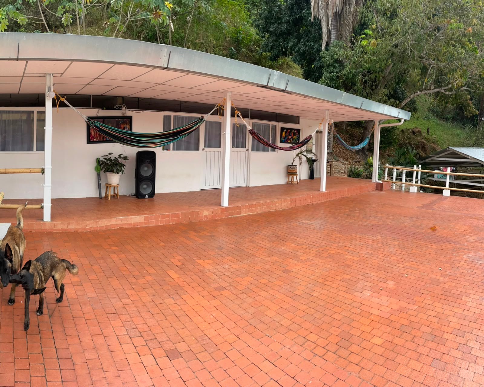 WhatsApp Image 2026-08-05 at 9.50.43 AM (4) Finca en venta, Represa Prado Tolima, Prado