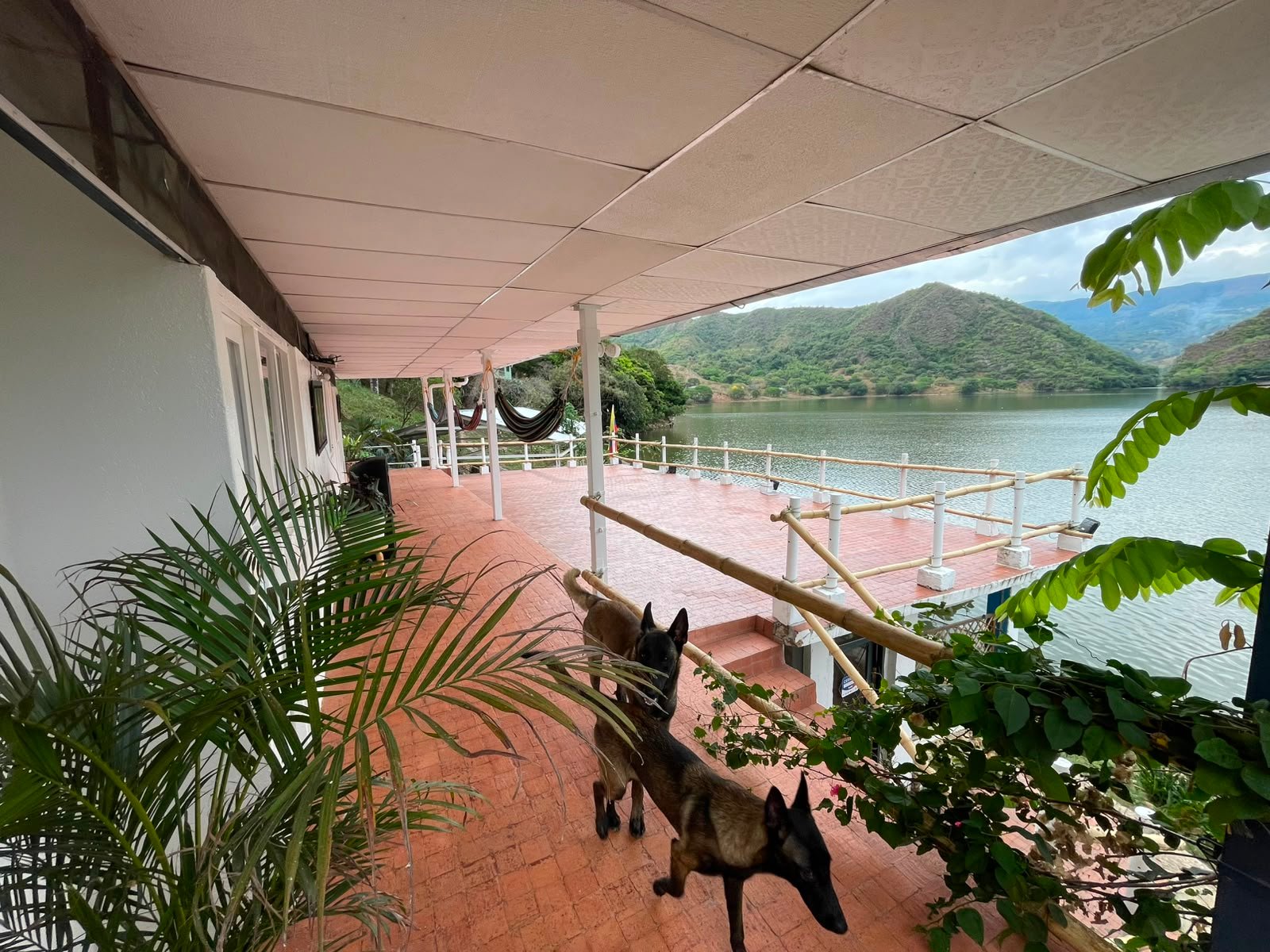 WhatsApp Image 2026-08-05 at 9.50.43 AM Finca en venta, Represa Prado Tolima, Prado