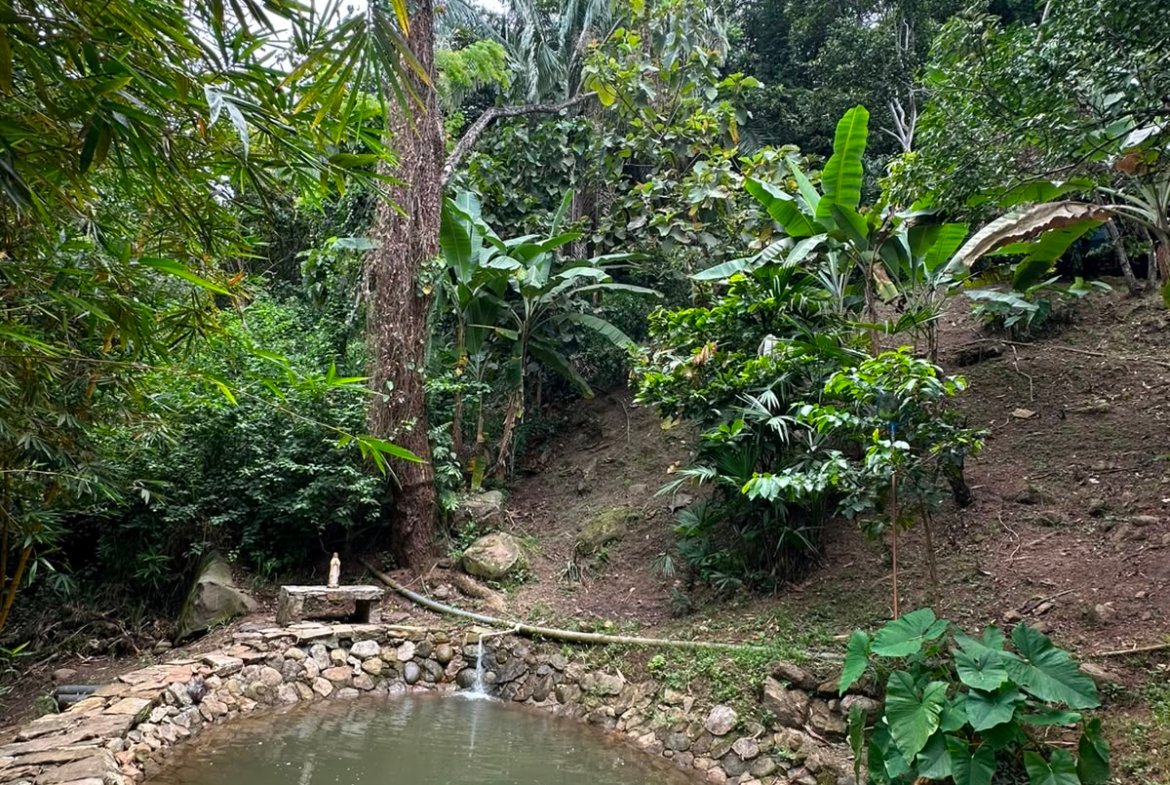 Finca en venta, Represa Prado Tolima, Prado