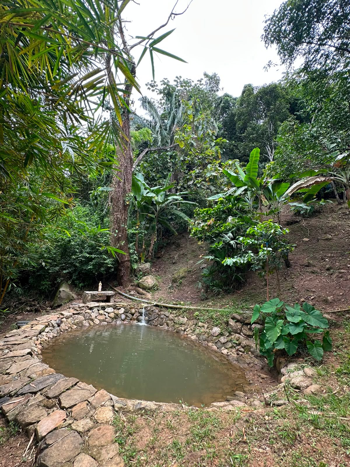 WhatsApp Image 2026-08-05 at 9.50.44 AM (1) Finca en venta, Represa Prado Tolima, Prado