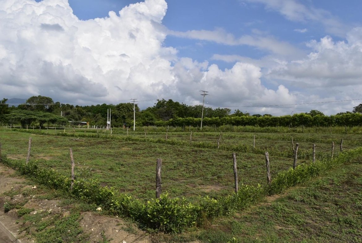 Lote en venta en Ricaurte Cundinamarca de 1.000 m²