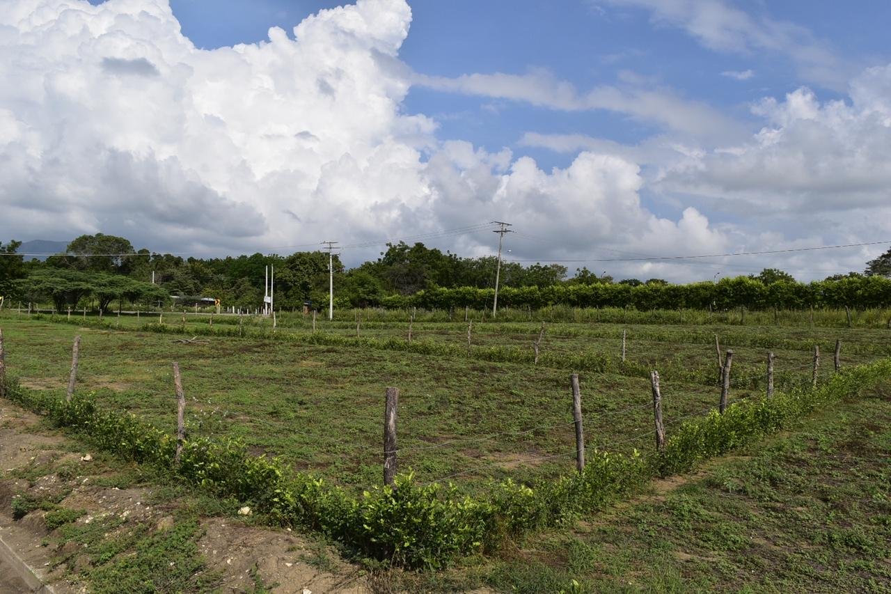 Lote en venta en Ricaurte Cundinamarca de 1.000 m²
