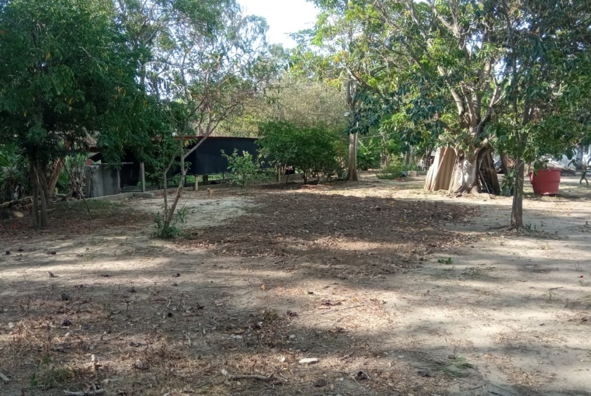 SE VENDE FINCA DE 30.000 M² EN BARANOA, ATLÁNTICO