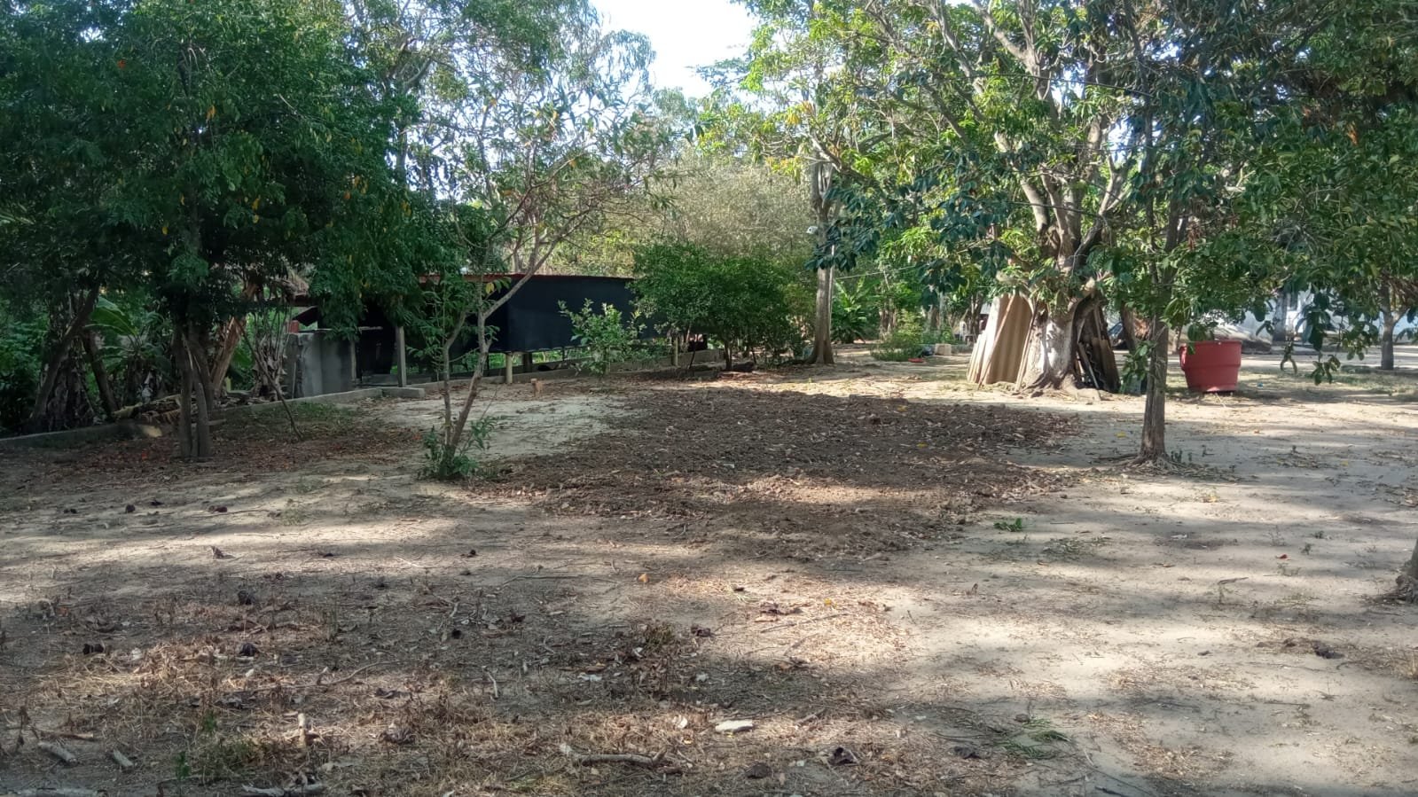 af4fecfc-b7cd-414a-b78f-8cdb39f99a6f SE VENDE FINCA DE 30.000 M² EN BARANOA, ATLÁNTICO