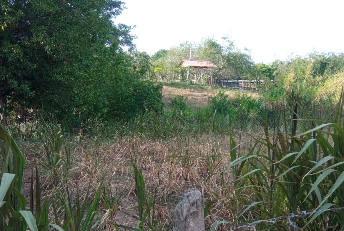 SE VENDE FINCA DE 30.000 M² EN BARANOA, ATLÁNTICO