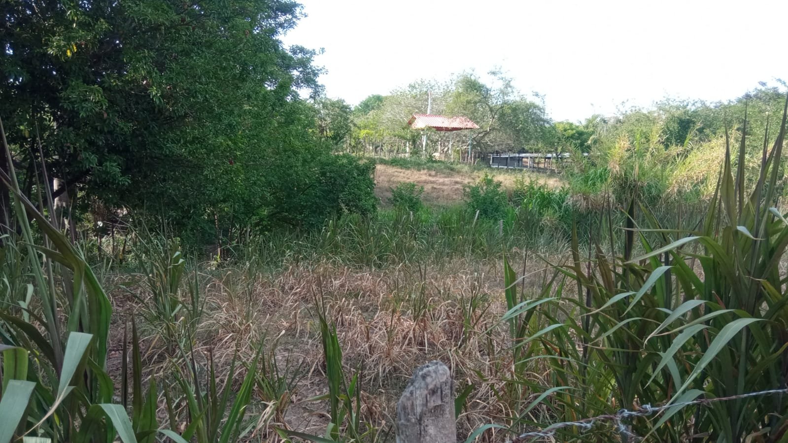 b4bbac8c-1d9b-4297-a8a8-1a56f0d94e0f SE VENDE FINCA DE 30.000 M² EN BARANOA, ATLÁNTICO