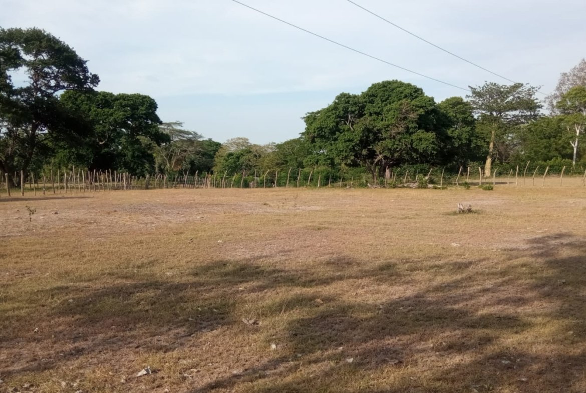 SE VENDE FINCA DE 30.000 M² EN BARANOA, ATLÁNTICO