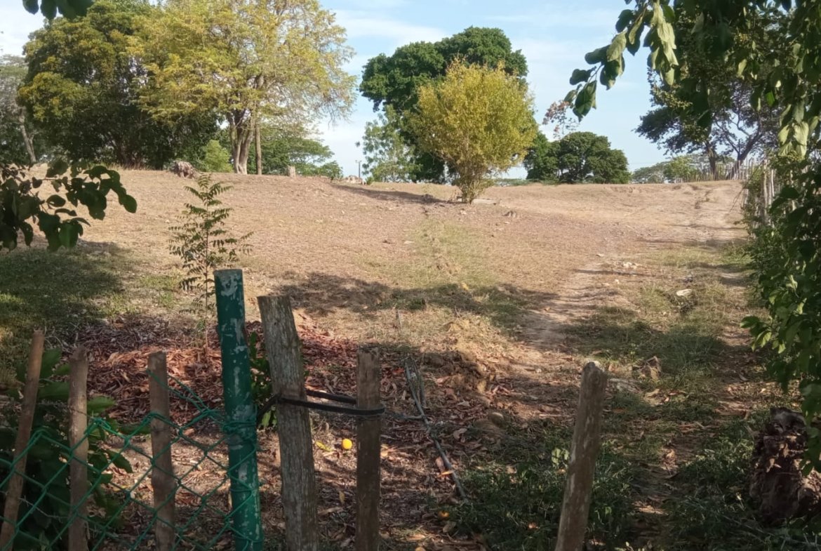 SE VENDE FINCA DE 30.000 M² EN BARANOA, ATLÁNTICO