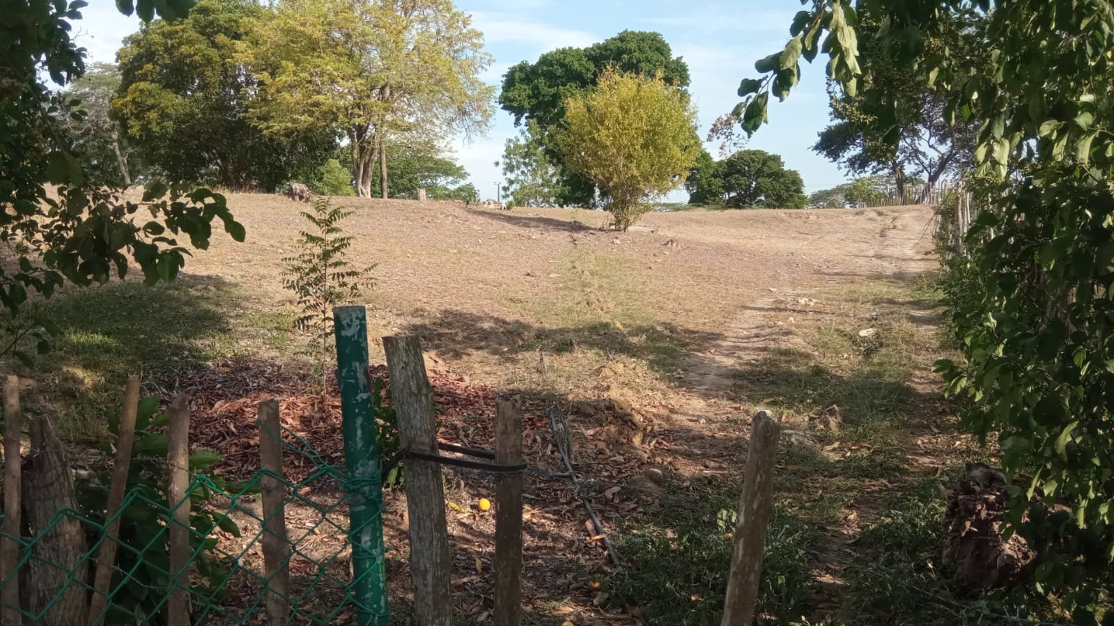 bcaea09e-deb3-49ca-8595-a48caf736876 SE VENDE FINCA DE 30.000 M² EN BARANOA, ATLÁNTICO