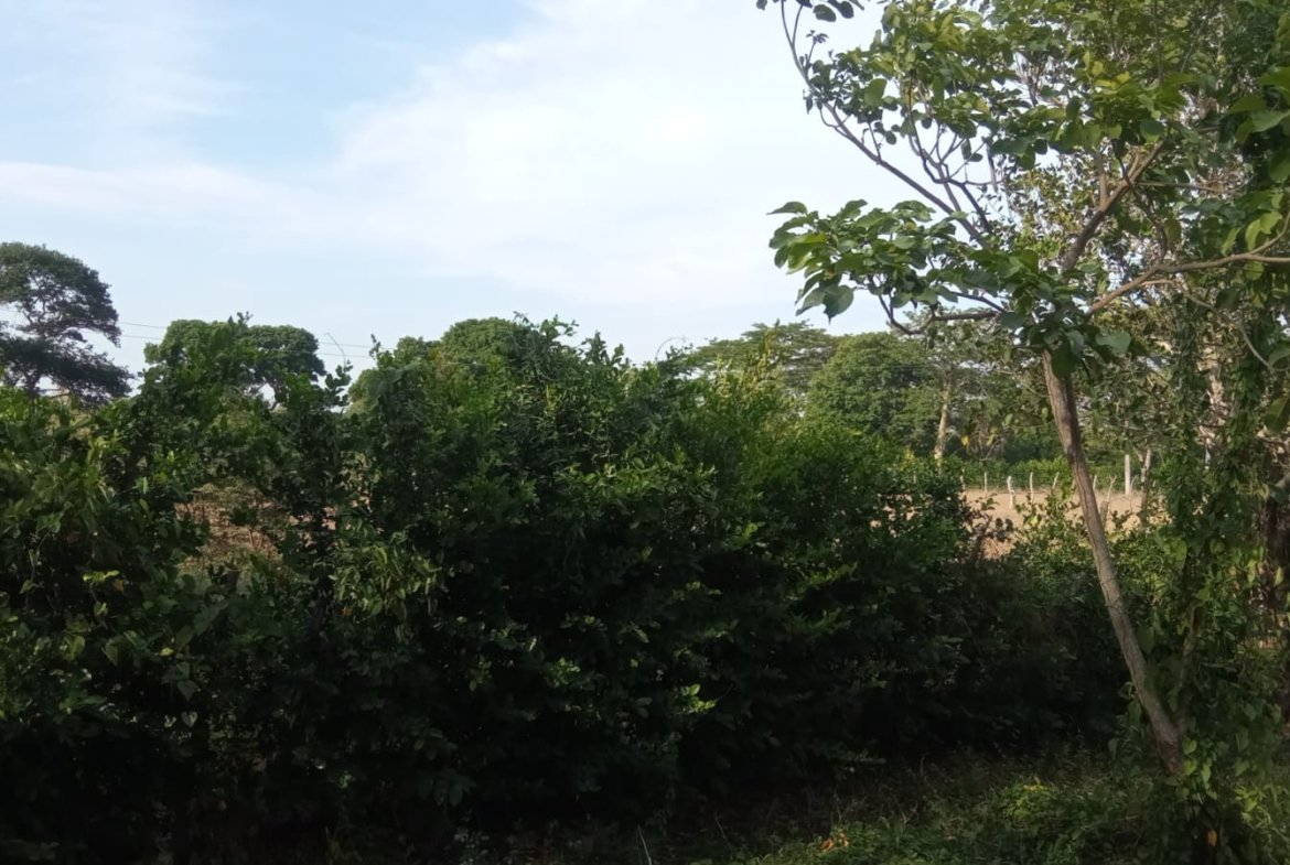 SE VENDE FINCA DE 30.000 M² EN BARANOA, ATLÁNTICO