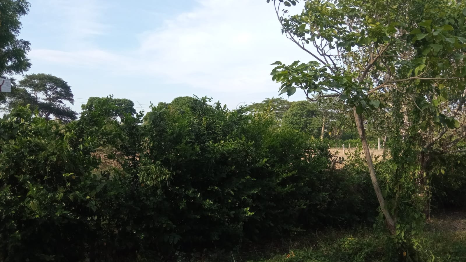 c6da1b9d-276d-4423-9c55-2334fb73c647 SE VENDE FINCA DE 30.000 M² EN BARANOA, ATLÁNTICO