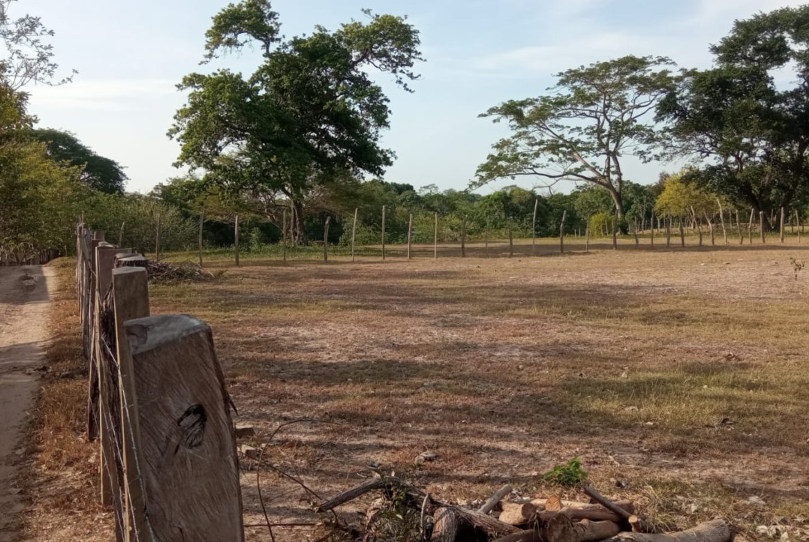 SE VENDE FINCA DE 30.000 M² EN BARANOA, ATLÁNTICO
