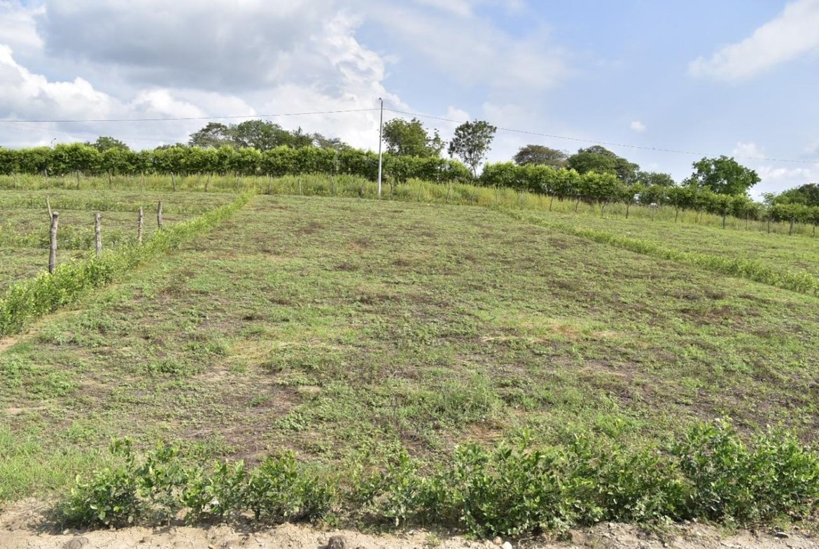 Lote en venta en Ricaurte Cundinamarca de 1.000 m²
