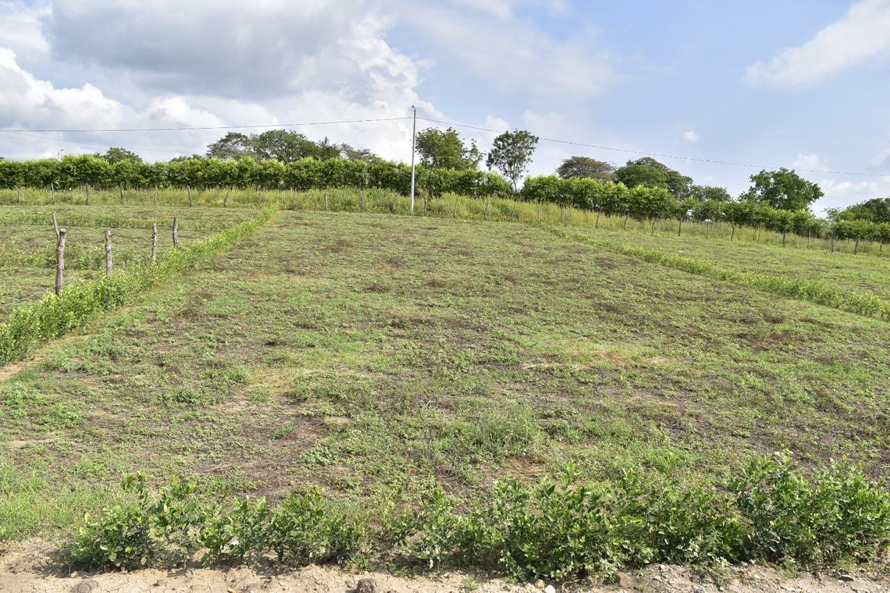 Lote en venta en Ricaurte Cundinamarca de 1.000 m²