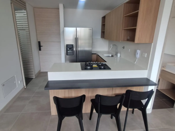 Apartamento en Arriendo en El Poblado, Medellín