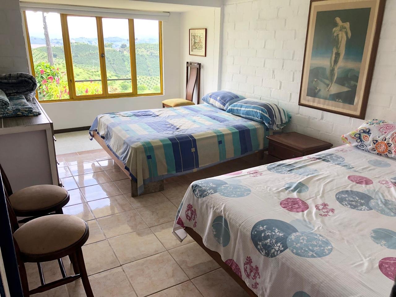 214465-271286-1835978530761389 PROYECTO TURÍSTICO EN VENTA PALESTINA, CALDAS