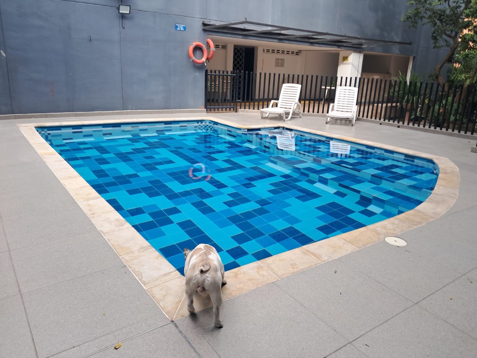 314202-454753-1065281639662069 Apartamento en venta en Loma de los Bernal, Medellín
