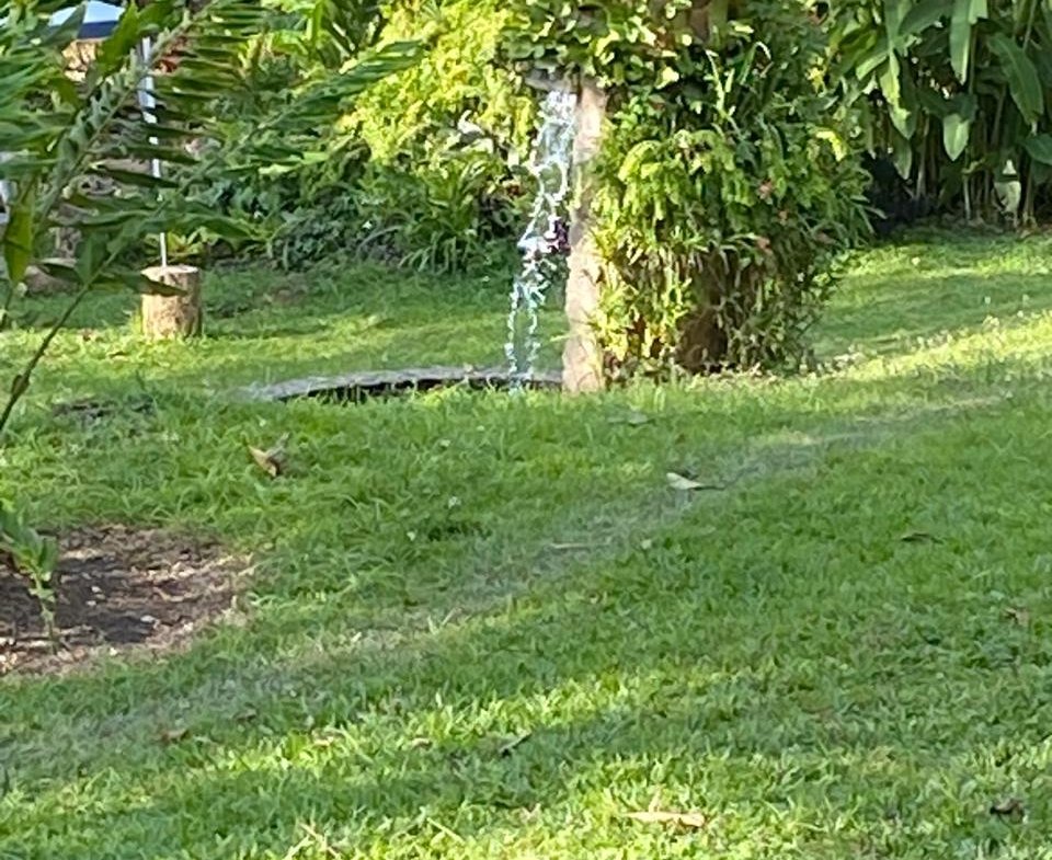 Alquiler de Casa Campestre en Potrerillo, Palmira