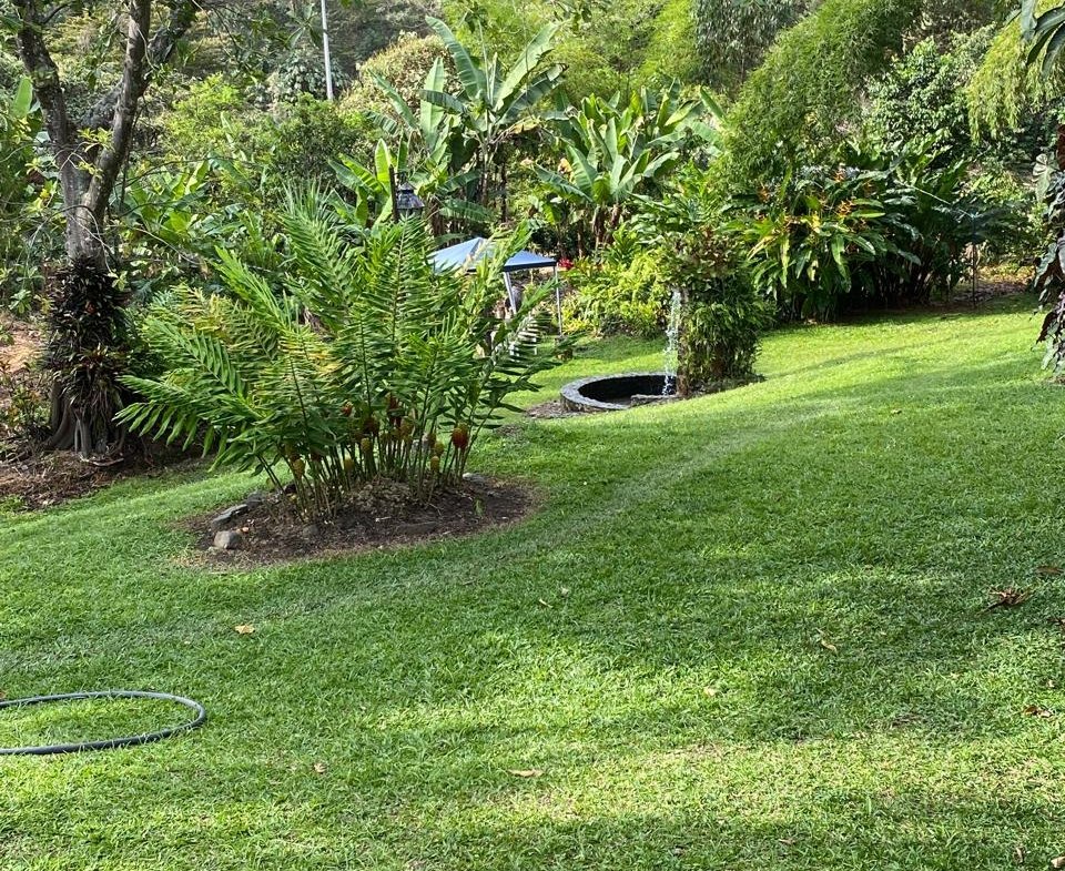 Alquiler de Casa Campestre en Potrerillo, Palmira