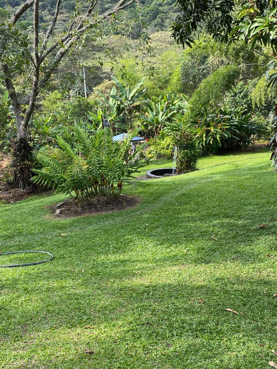314202-454753-1283761600546057 Alquiler de Casa Campestre en Potrerillo, Palmira