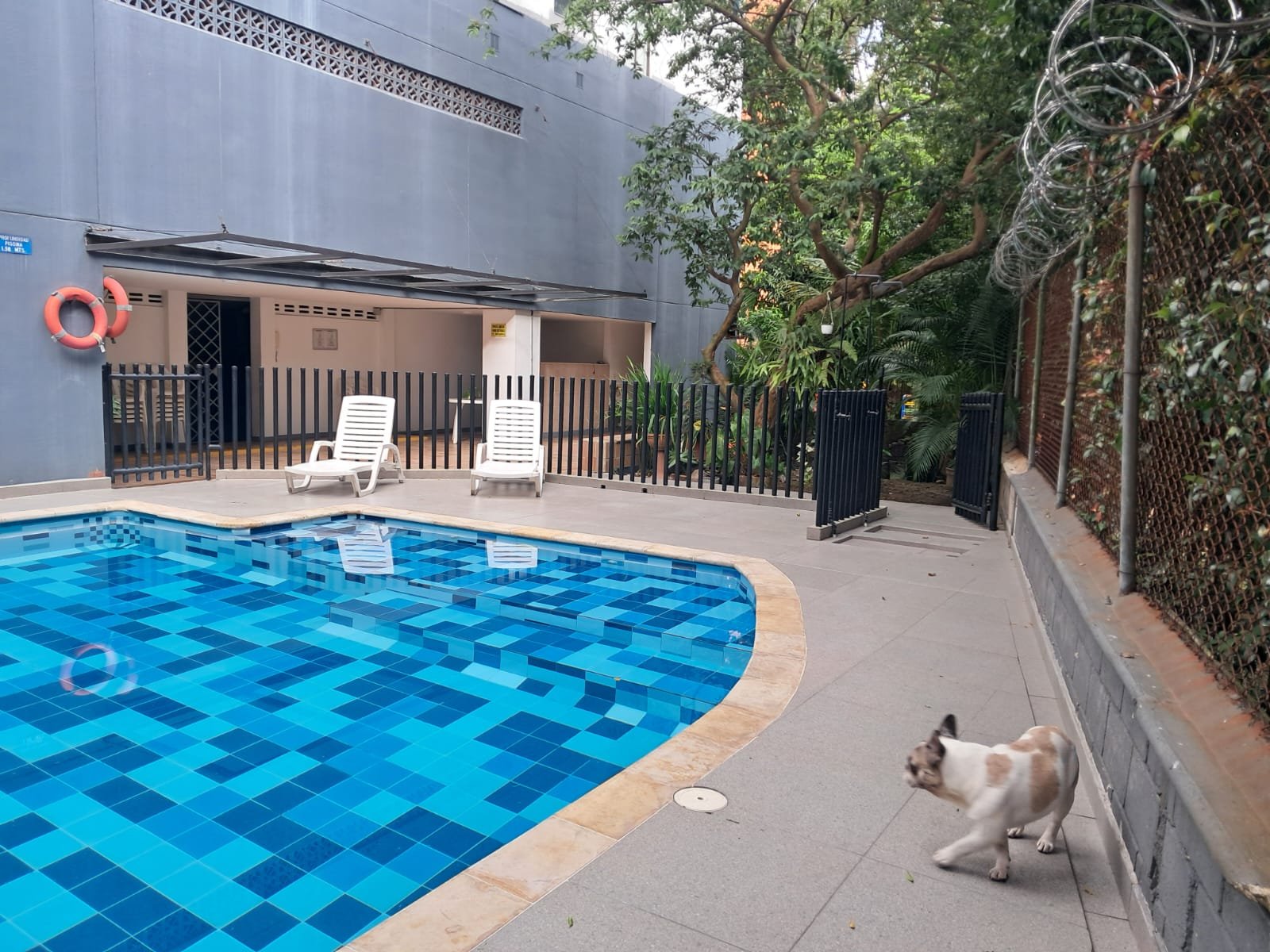 314202-454753-1665978921563905 Apartamento en venta en Loma de los Bernal, Medellín