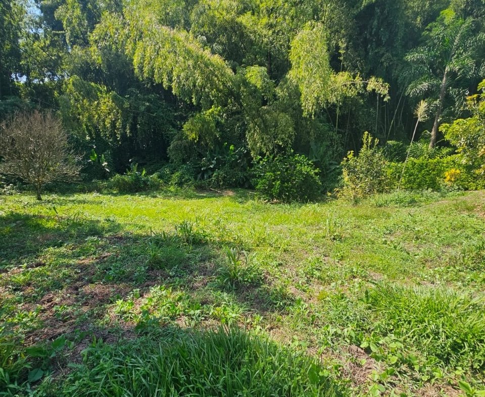 Encantador Lote Portachuelo Eje Cafetero vía La Tebaida