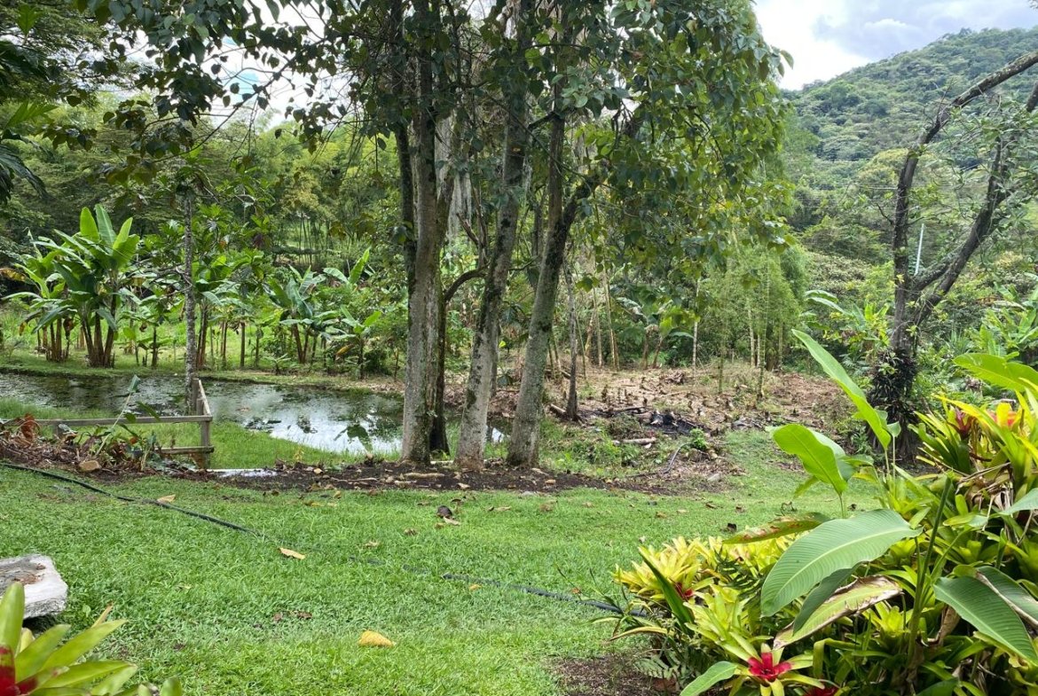 Alquiler de Casa Campestre en Potrerillo, Palmira