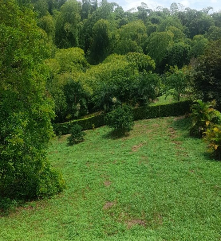 Encantador Lote Portachuelo Eje Cafetero vía La Tebaida