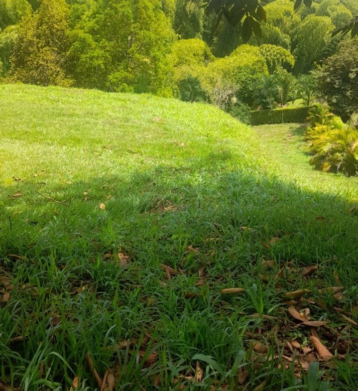 Encantador Lote Portachuelo Eje Cafetero vía La Tebaida