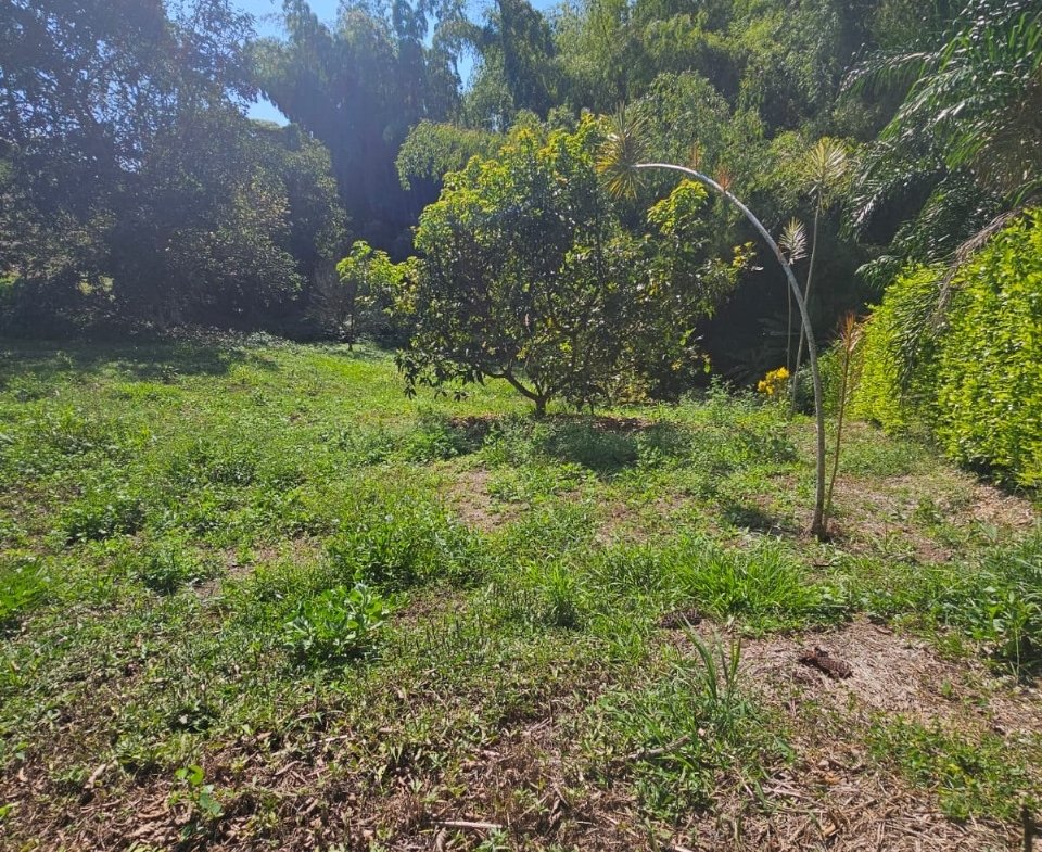 Encantador Lote Portachuelo Eje Cafetero vía La Tebaida