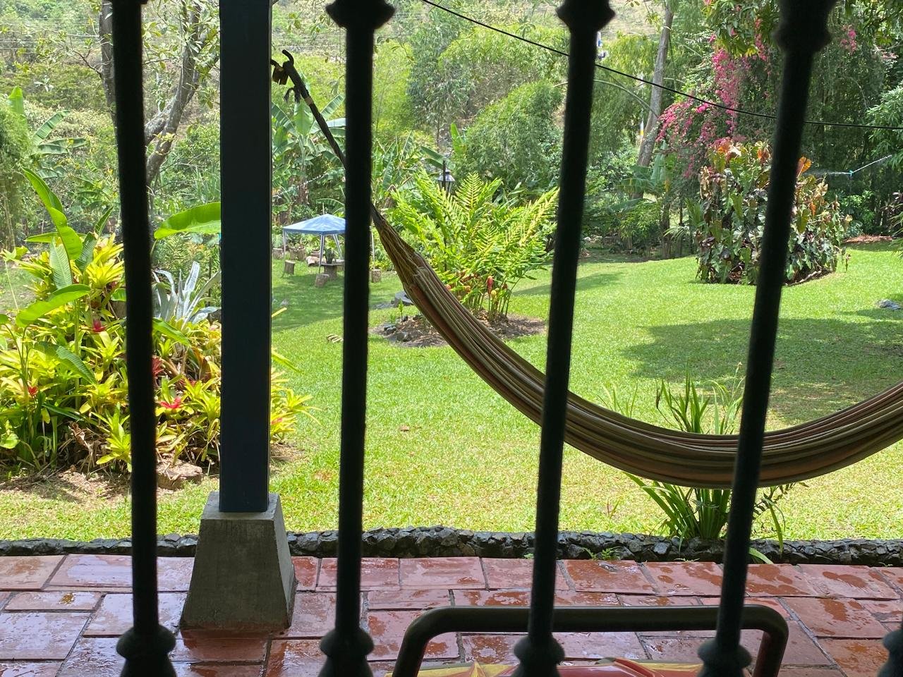 314202-454753-987289103629669 Alquiler de Casa Campestre en Potrerillo, Palmira