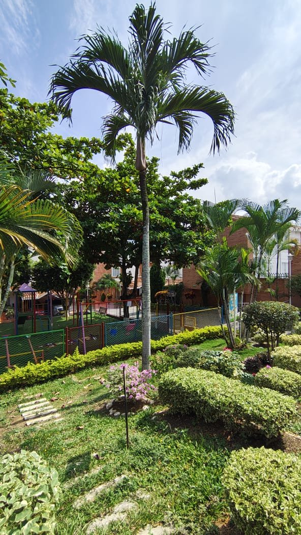 WhatsApp Image 2026-10-17 at 12.48.08 PM (4) Casa en venta en Versalles Campestre, Floridablanca