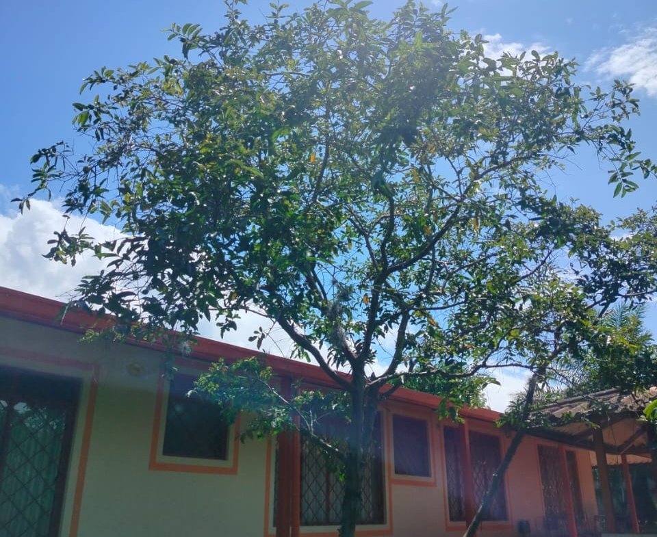 Casa Conjunto San Pedro