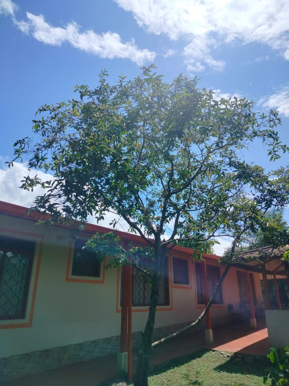 WhatsApp Image 2026-10-27 at 11.28.41 AM (2) Casa Conjunto San Pedro