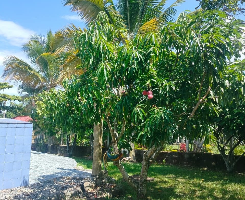 Casa Conjunto San Pedro