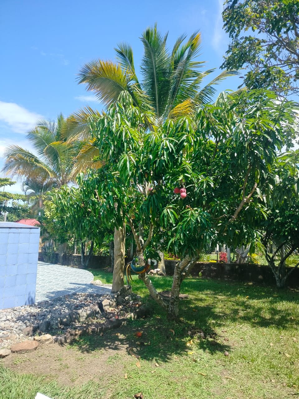 WhatsApp Image 2026-10-27 at 11.28.42 AM Casa Conjunto San Pedro