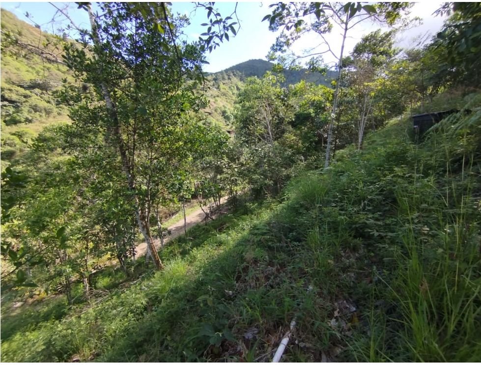 Finca campestre en venta de 10.000 m² en Villa María, Vijes Valle del Cauca