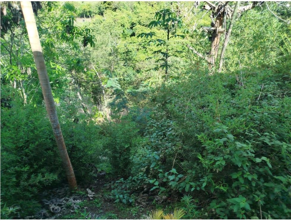 Finca campestre en venta de 10.000 m² en Villa María, Vijes Valle del Cauca