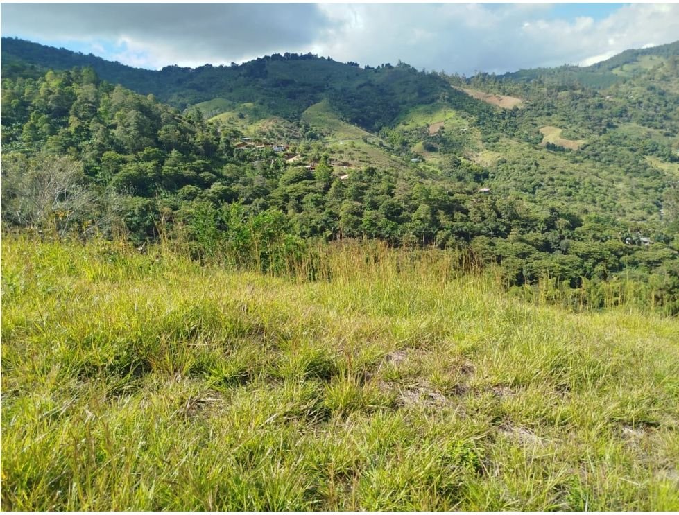 Finca campestre en venta de 10.000 m² en Villa María, Vijes Valle del Cauca