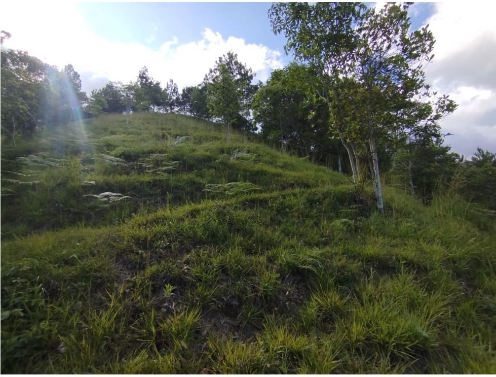 Finca campestre en venta de 10.000 m² en Villa María, Vijes Valle del Cauca